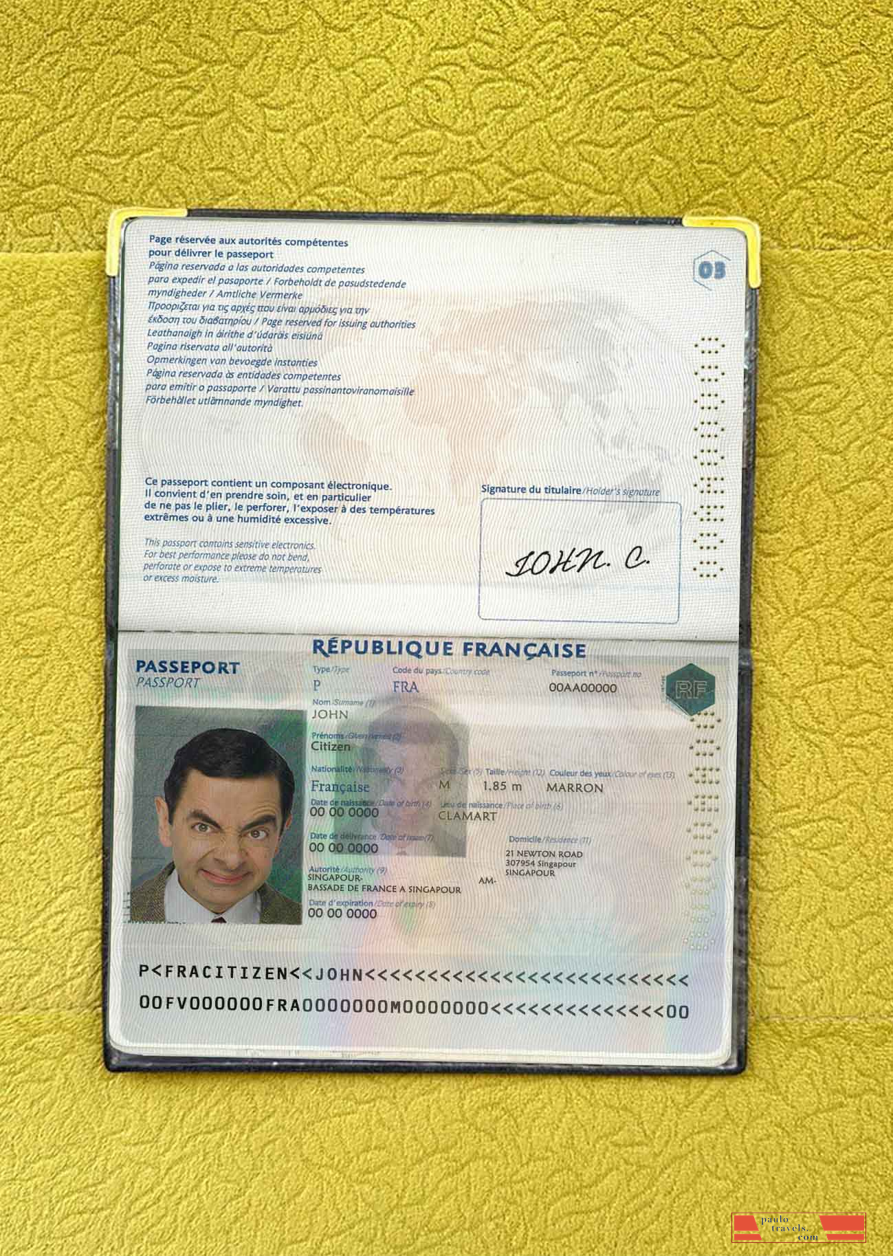 France passport photo look PSD template